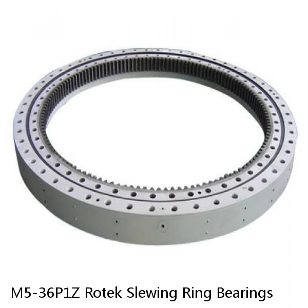 M5-36P1Z Rotek Slewing Ring Bearings