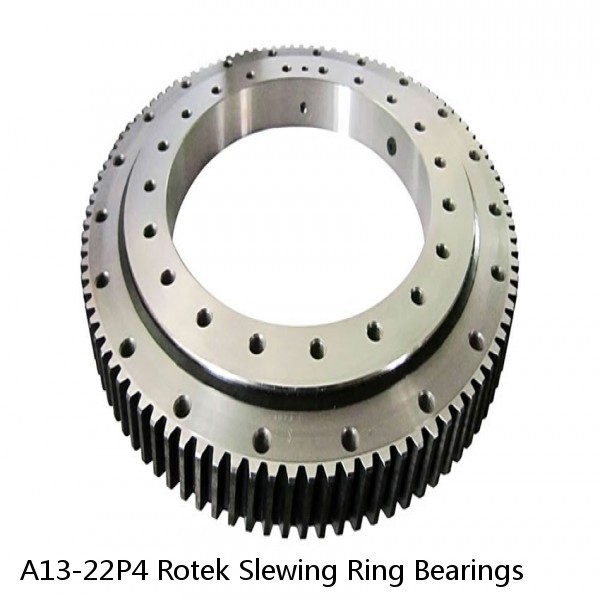 A13-22P4 Rotek Slewing Ring Bearings