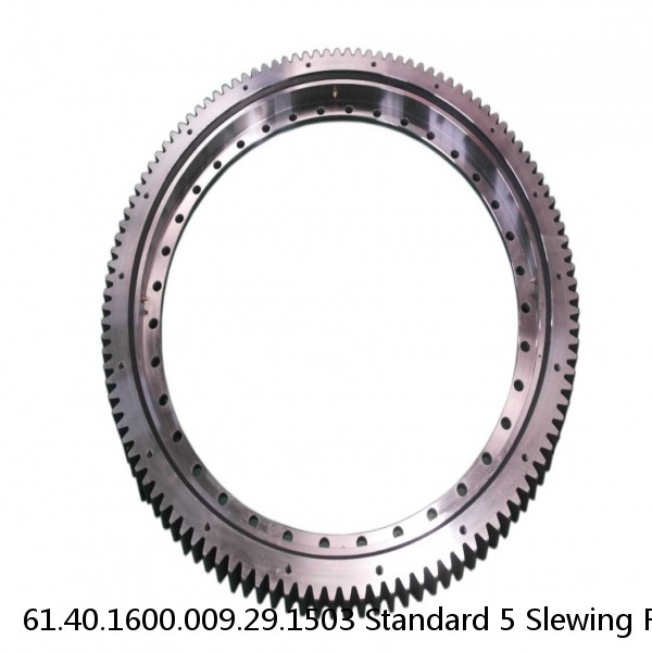 61.40.1600.009.29.1503 Standard 5 Slewing Ring Bearings