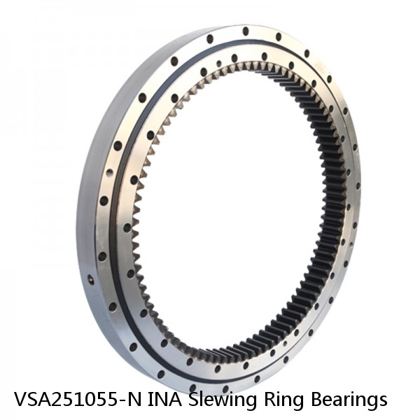 VSA251055-N INA Slewing Ring Bearings