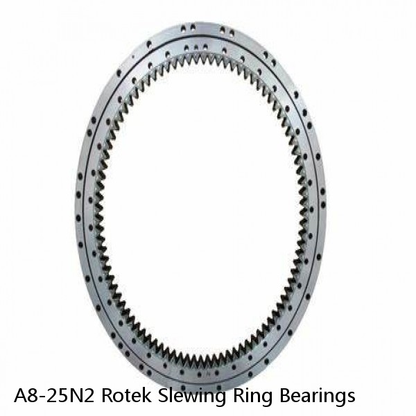 A8-25N2 Rotek Slewing Ring Bearings