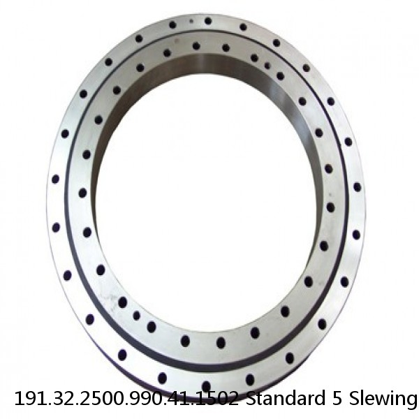 191.32.2500.990.41.1502 Standard 5 Slewing Ring Bearings