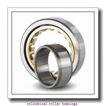 6.693 Inch | 170 Millimeter x 8.465 Inch | 215 Millimeter x 1.772 Inch | 45 Millimeter  INA SL014834-C3  Cylindrical Roller Bearings