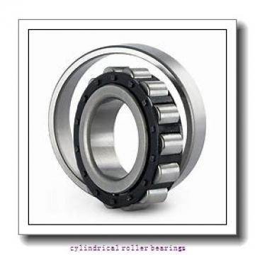 FAG N222-E-M1  Cylindrical Roller Bearings