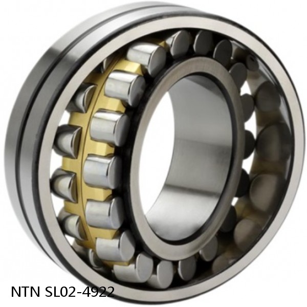 SL02-4922 NTN Cylindrical Roller Bearing #1 small image