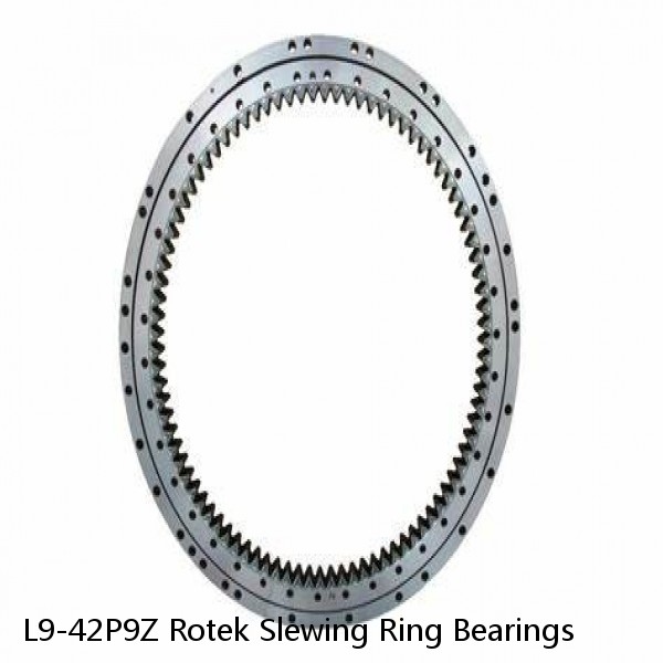L9-42P9Z Rotek Slewing Ring Bearings