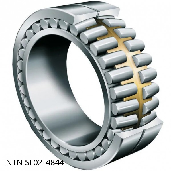 SL02-4844 NTN Cylindrical Roller Bearing #1 small image