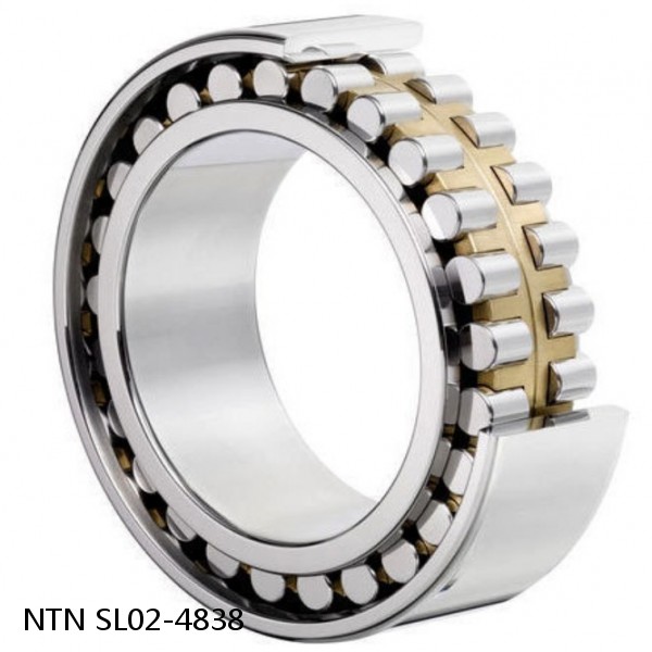SL02-4838 NTN Cylindrical Roller Bearing #1 small image