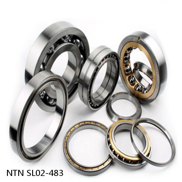 SL02-483 NTN Cylindrical Roller Bearing