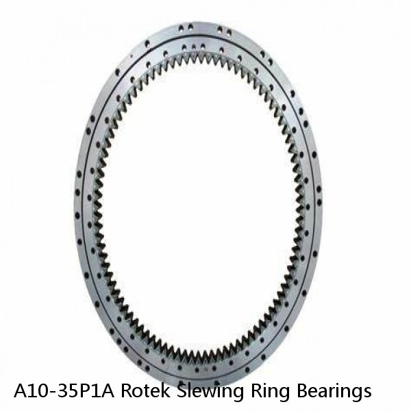 A10-35P1A Rotek Slewing Ring Bearings