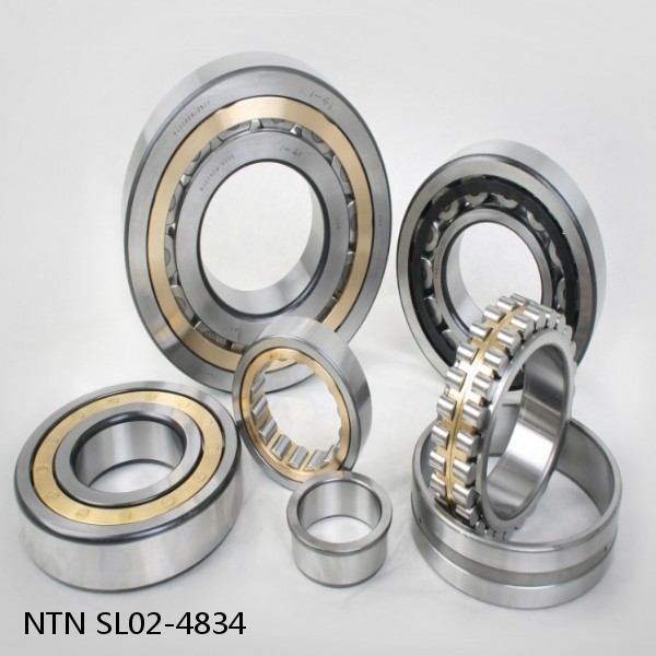 SL02-4834 NTN Cylindrical Roller Bearing #1 small image