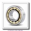 2.756 Inch | 70 Millimeter x 3.937 Inch | 100 Millimeter x 1.732 Inch | 44 Millimeter  INA SL11914  Cylindrical Roller Bearings
