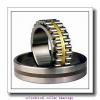 5.512 Inch | 140 Millimeter x 8.268 Inch | 210 Millimeter x 2.756 Inch | 70 Millimeter  INA SL05028-E  Cylindrical Roller Bearings #1 small image