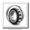 17 mm x 40 mm x 12 mm  FAG N203-E-TVP2  Cylindrical Roller Bearings #1 small image
