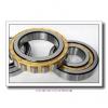 25 mm x 52 mm x 15 mm  FAG N205-E-TVP2  Cylindrical Roller Bearings #2 small image