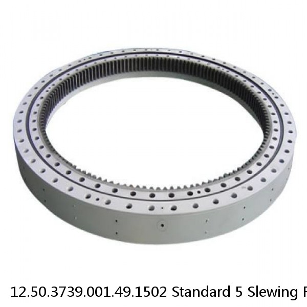 12.50.3739.001.49.1502 Standard 5 Slewing Ring Bearings #1 image