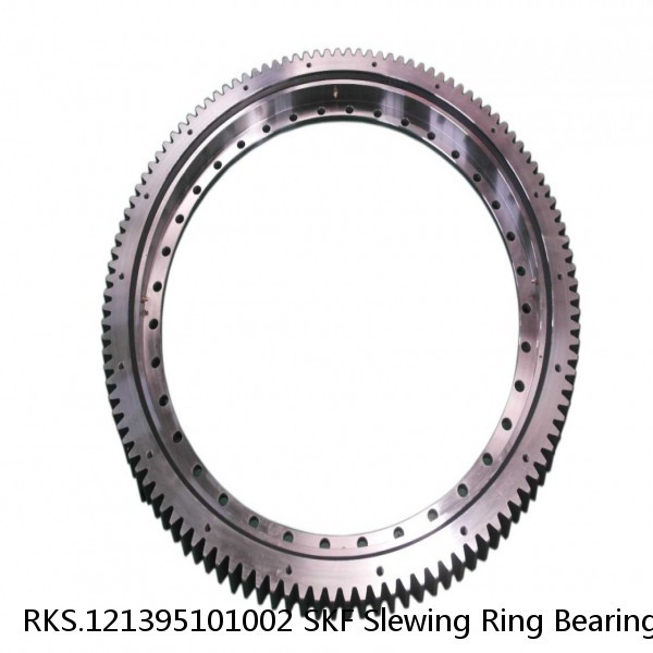 RKS.121395101002 SKF Slewing Ring Bearings #1 image