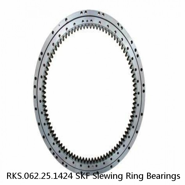 RKS.062.25.1424 SKF Slewing Ring Bearings #1 image