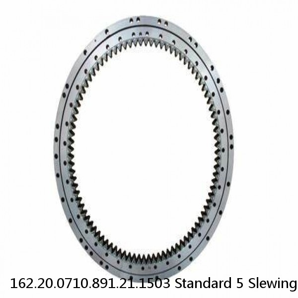 162.20.0710.891.21.1503 Standard 5 Slewing Ring Bearings #1 image