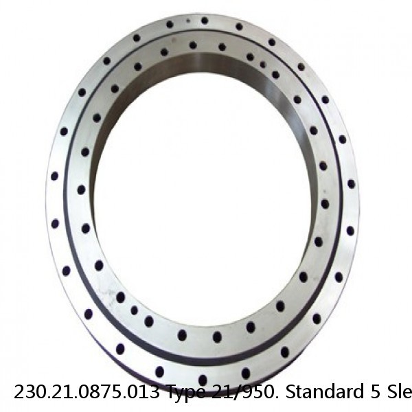 230.21.0875.013 Type 21/950. Standard 5 Slewing Ring Bearings #1 image