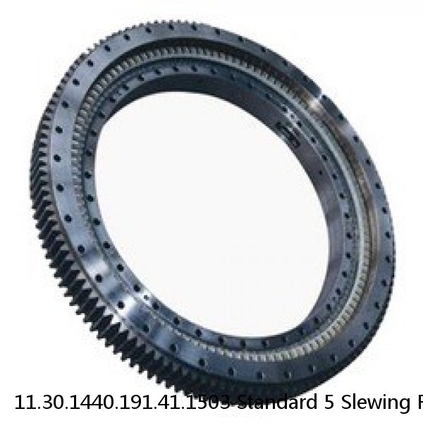 11.30.1440.191.41.1503 Standard 5 Slewing Ring Bearings #1 image