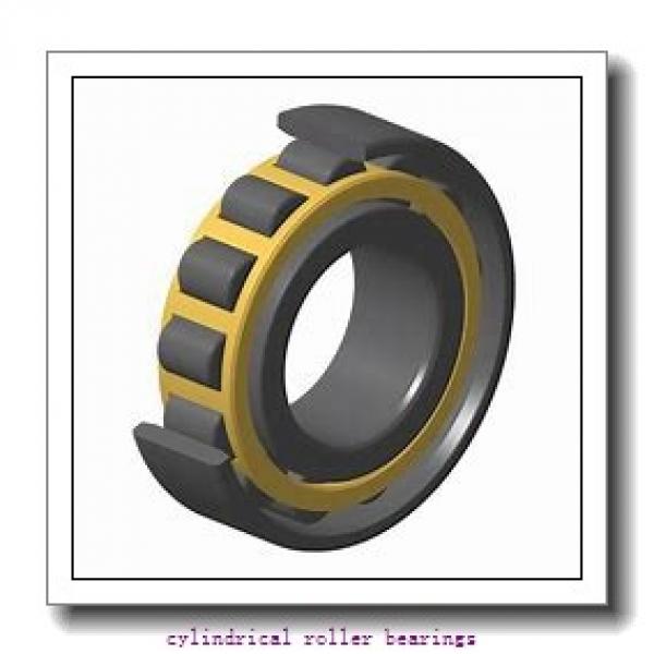 2.756 Inch | 70 Millimeter x 3.937 Inch | 100 Millimeter x 1.181 Inch | 30 Millimeter  INA SL014914-C3  Cylindrical Roller Bearings #1 image