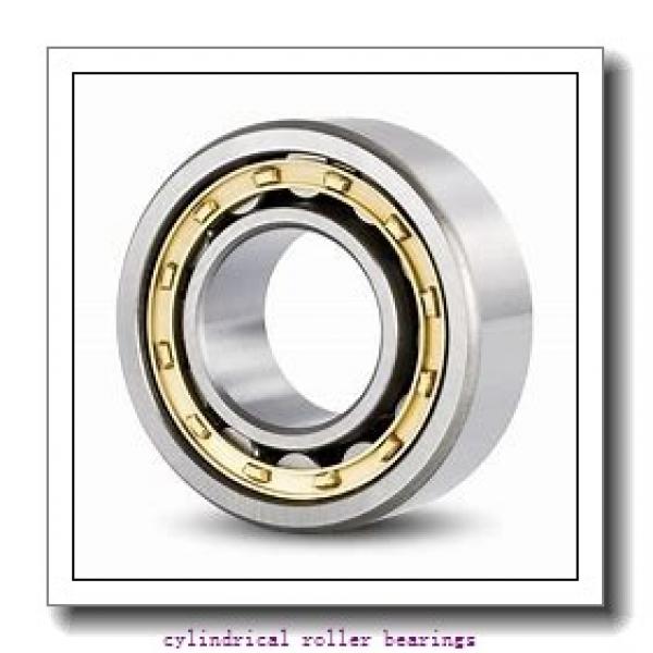 2.165 Inch | 55 Millimeter x 3.937 Inch | 100 Millimeter x 0.984 Inch | 25 Millimeter  INA SL182211-C3  Cylindrical Roller Bearings #1 image
