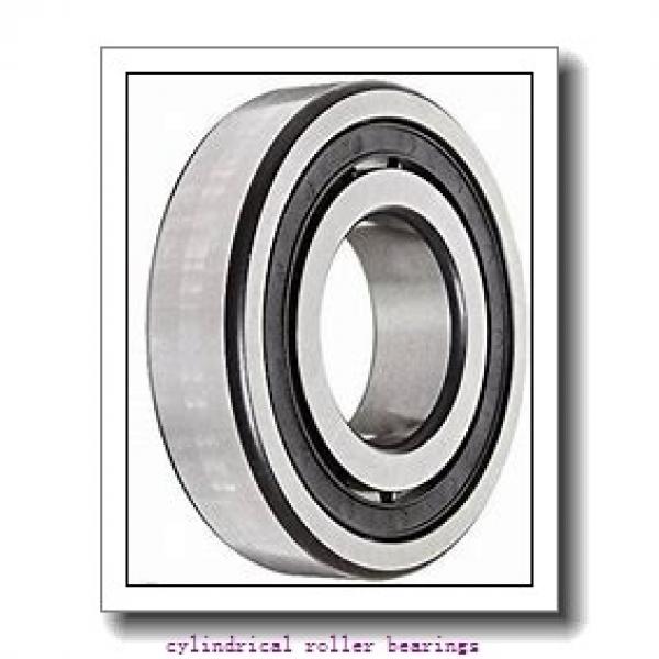 15 mm x 35 mm x 11 mm  FAG N202-E-TVP2  Cylindrical Roller Bearings #1 image