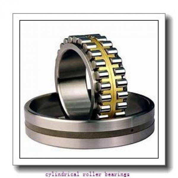 20 mm x 47 mm x 14 mm  FAG N204-E-TVP2  Cylindrical Roller Bearings #1 image