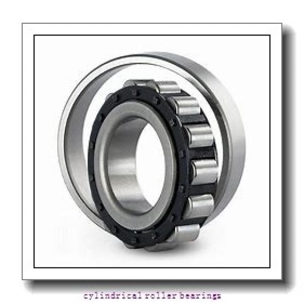 FAG N205-E-TVP2-C3  Cylindrical Roller Bearings #1 image
