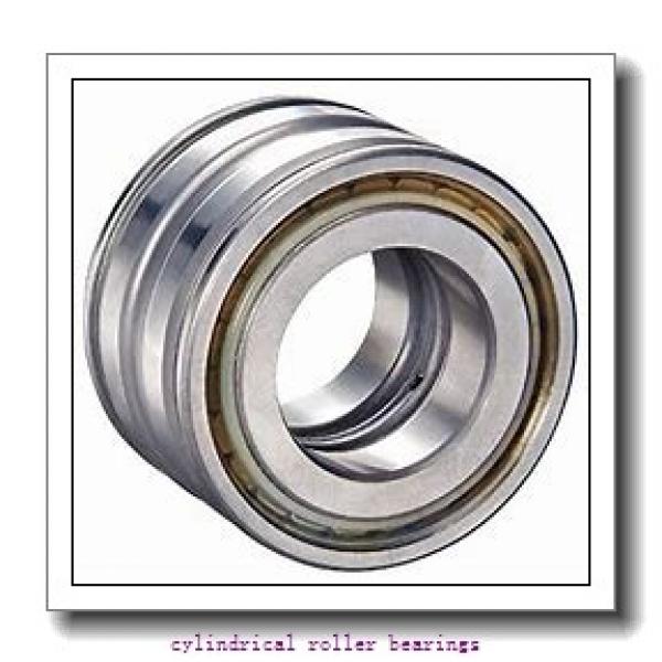 FAG N205-E-M1  Cylindrical Roller Bearings #1 image